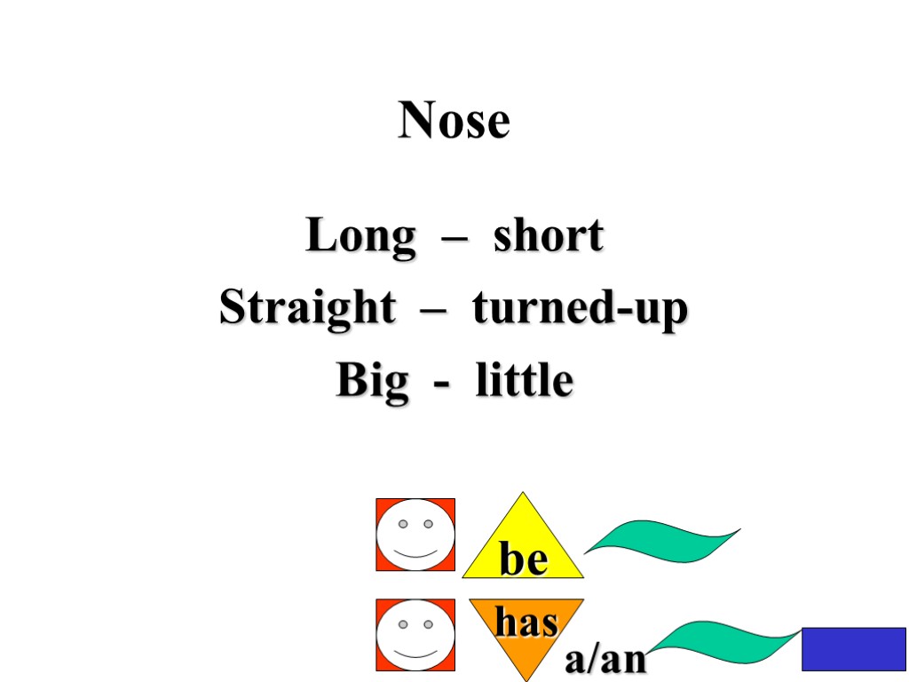 Nose Long – short Straight – turned-up Big - little